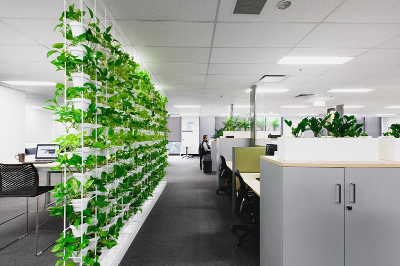 Xu hướng thiết kế nội thất văn phòng 2021 phần 2: Thịnh hành không gian xanh
