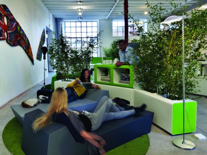 Sắp xếp cây xanh trong phòng làm việc và ý nghĩa phong thủy